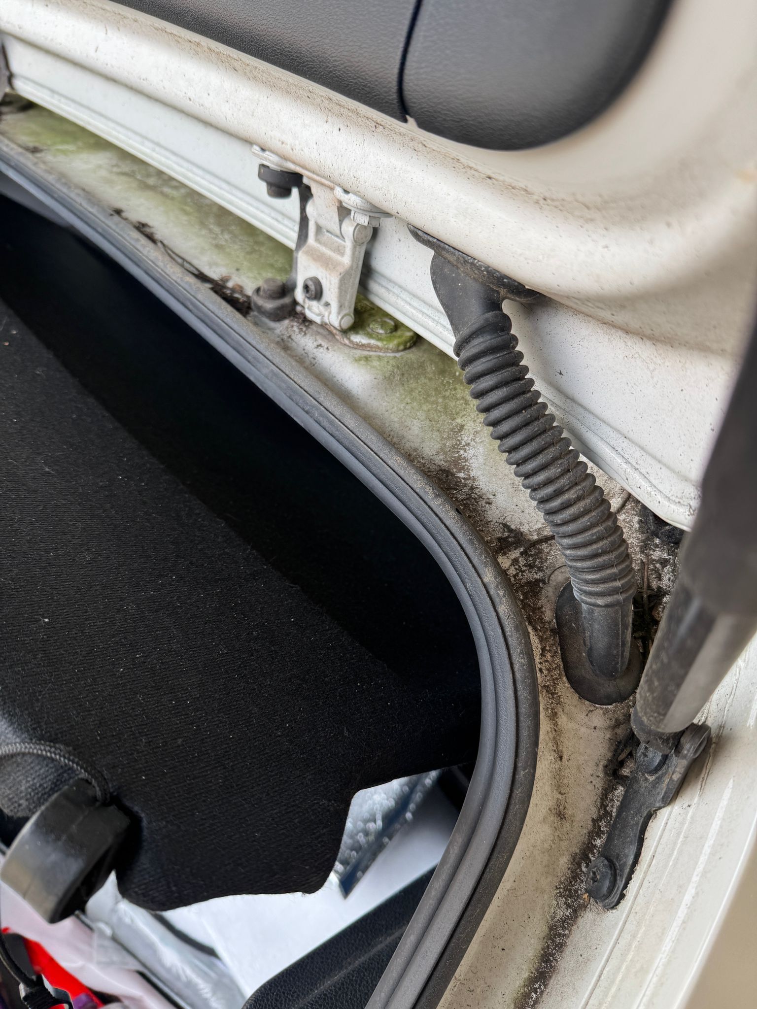 Lederpflege Oldtimer Innenraum